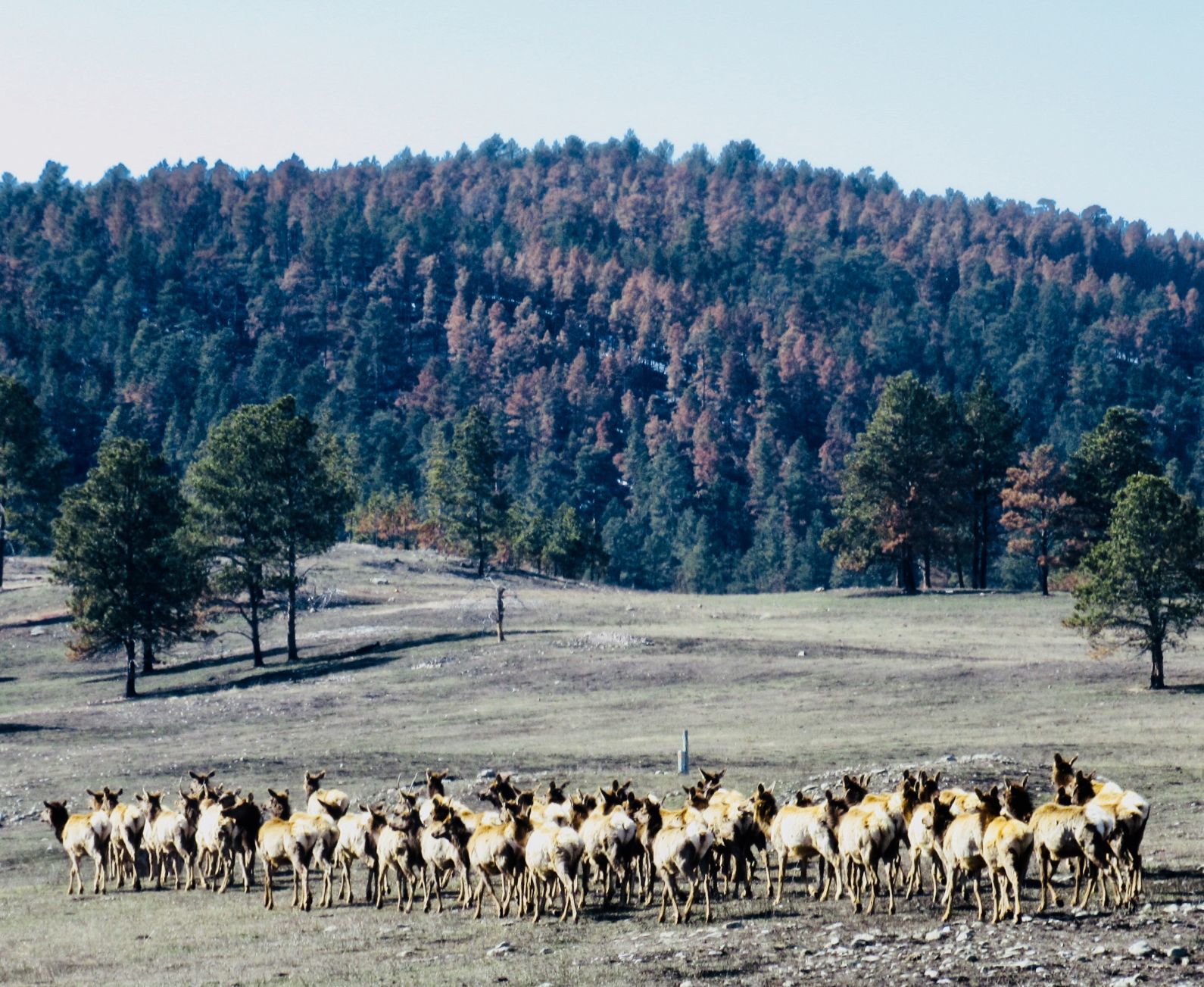 040418-nws-readerphoto